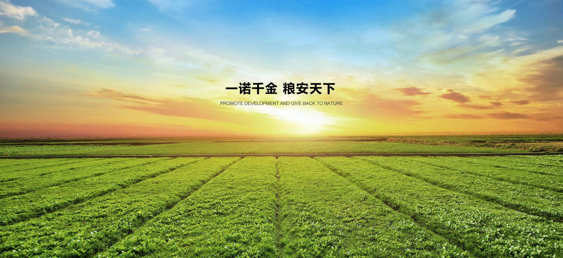 诺安生态肥业